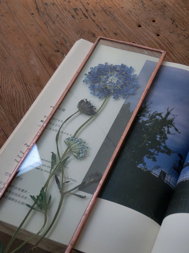 Botanical Illustrated Book|Blue Pearl Flower|Glass Mosaic|Flower and Herb Specimen - ช่อดอกไม้แห้ง - พืช/ดอกไม้ สีน้ำเงิน