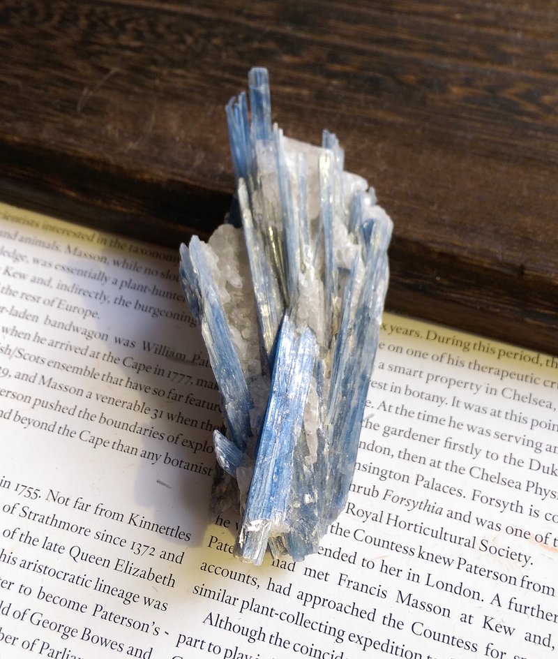 Kyanite 巴西產地 藍晶石 石英共生礦 天然礦石 原礦 - 裝飾/擺設  - 其他材質 