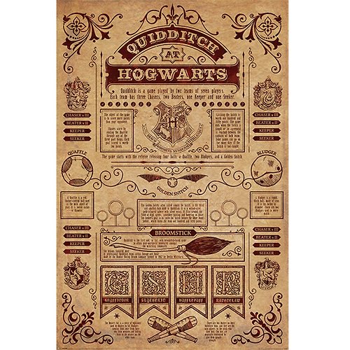 Dope 私貨 【哈利波特】霍格華茲 魁地奇大賽 英國進口海報 Harry Potter