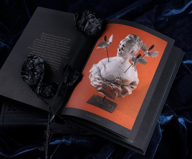 DARK INSPIRATION: 20th Anniversary Edition: Grotesque Illustrations, Art and Design [Book]