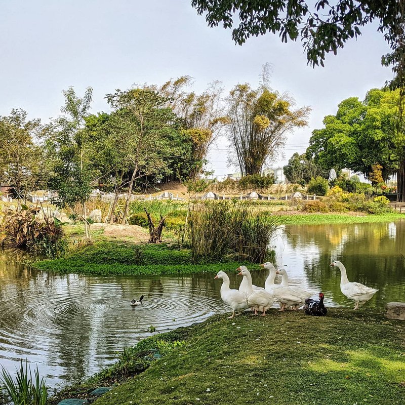【Yunlin Dapi Sanxiu Garden】Guided Tour of Yiran Leisure Experience - Indoor/Outdoor Recreation - Other Materials 