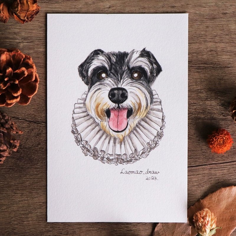 Watercolor illustration original dog head portrait 4X6 6 inches 3002 Schnauzer and Ruff Collar - Posters - Paper 