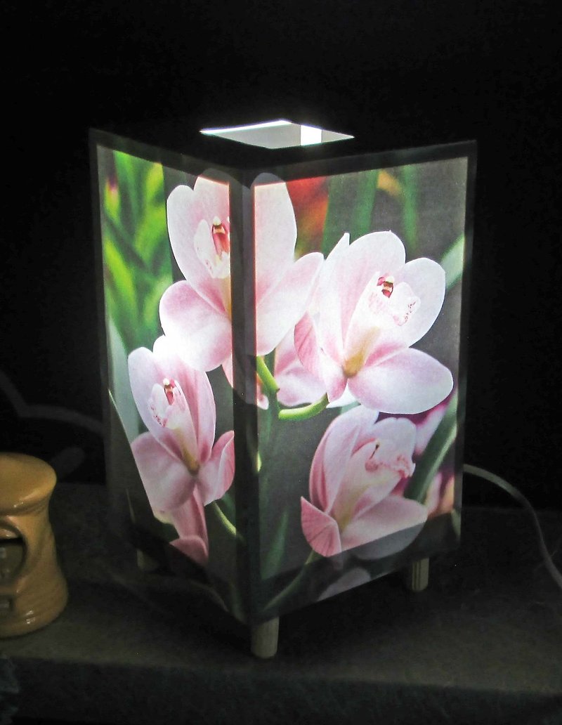 Phalaenopsis orchid awakening [Shilla millionains] Bean shape · LED dream light The best part of light stand! - Lighting - Paper Green
