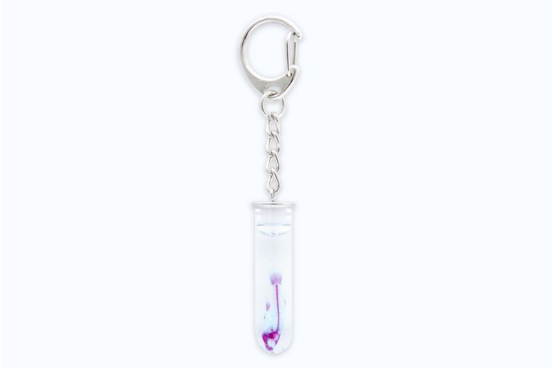 Transparent biological keychain-wicker fish Gambusia affinis - ที่ห้อยกุญแจ - แก้ว 