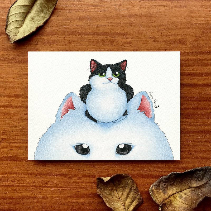 【Cat Maniac】Postcard(13) - Cards & Postcards - Paper Multicolor