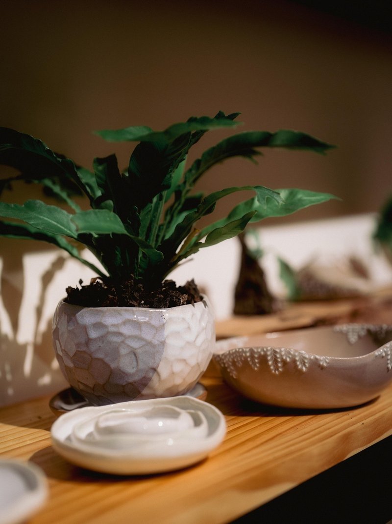 【手作陶盤 盆栽】生活藝術小容器 × 植栽盤器 半日閑-台北新北 - 陶藝/玻璃 - 陶 
