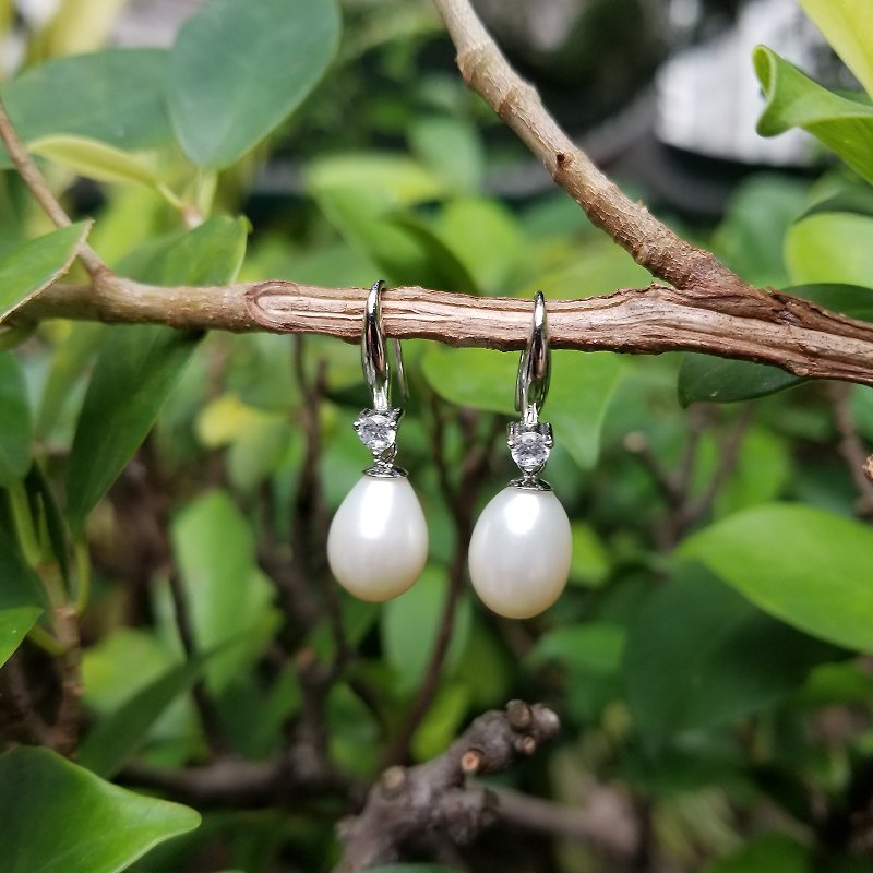 Classic Genuine Oval Pearl Natural Cream White 925 Sterling Silver Hook Earrings - ต่างหู - ไข่มุก ขาว