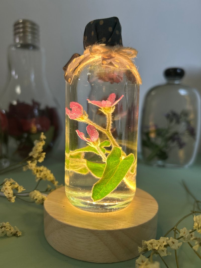 Tweedia in oil - 其他 - 植物．花 紫色