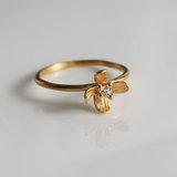 Mizuhikisou ring
