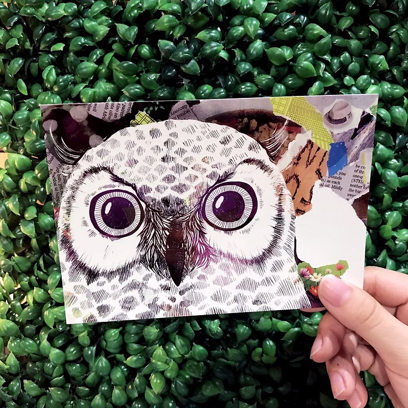 Paper Shoot I SEE YOU! series Postcard - Owl - การ์ด/โปสการ์ด - กระดาษ หลากหลายสี