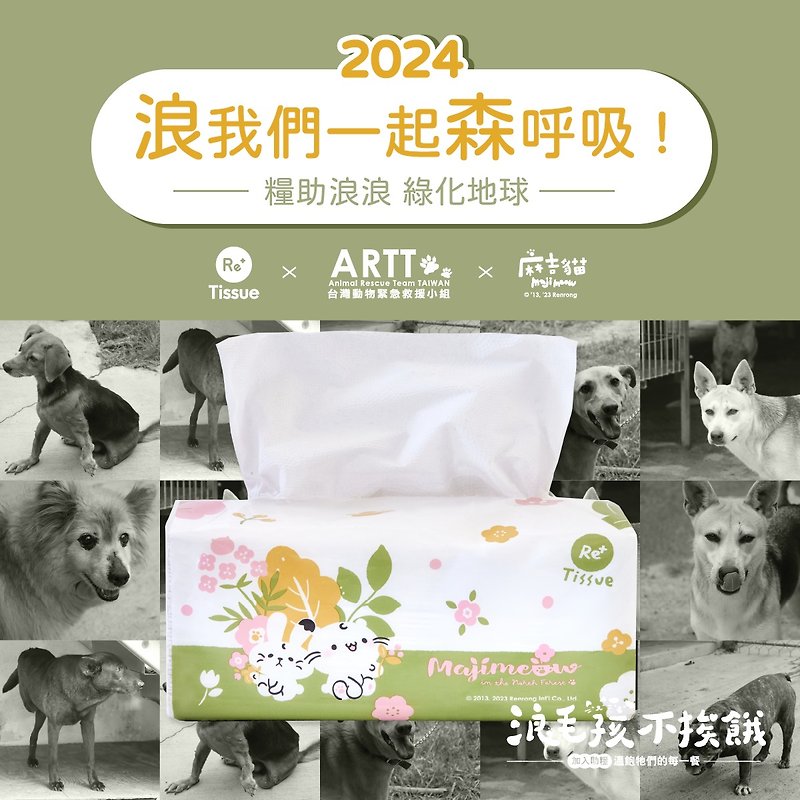 Maji Cat - Tissue Boxes - Paper 