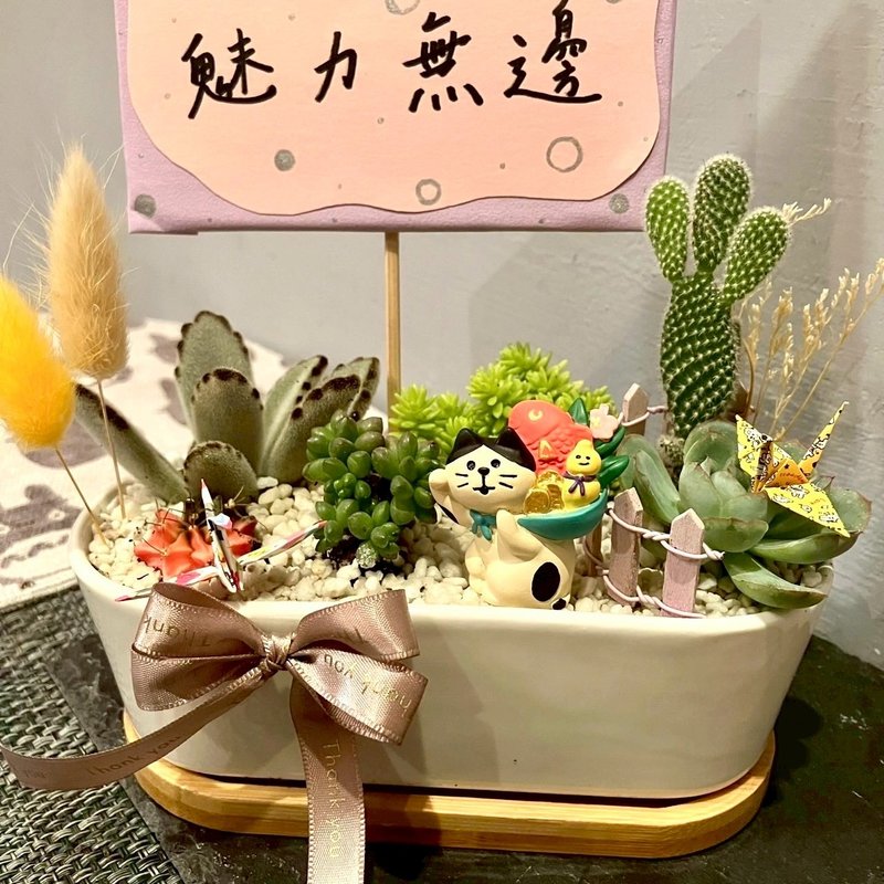 招財貓 台中多肉組盆 多肉植物 年年有餘 祝福 開幕慶祝 日式盆栽 - 盆栽/植栽 - 植物．花 綠色