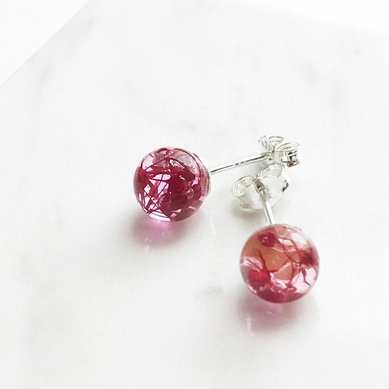Real flower Red Gypsophila sphere glass S925 silver earrings - Earrings & Clip-ons - Plants & Flowers Red