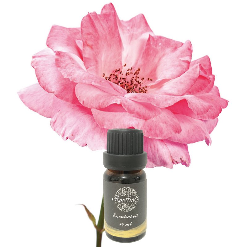 ABS rose essential oil ROSE BULGARIAN - น้ำหอม - น้ำมันหอม 