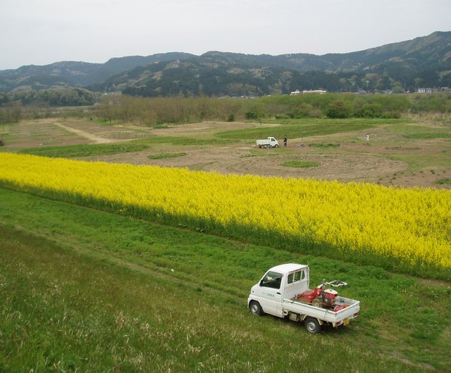 西瓜化粧水100ml 沒有添加任何一滴水 僅採用西瓜原汁及白樺樹液兩種原料加以蒸餾出來的天然果汁化粧水 以番茄紅素為首 多種美容成分 對於老化肌膚的使用十分推薦 西瓜的水果香氣也十分有魅力 設計館山澤清