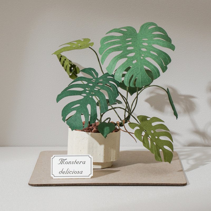 DIY Kit - Forever Green - Monstera deliciosa | 9028409 GREENFUL LIFE - Wood, Bamboo & Paper - Paper 