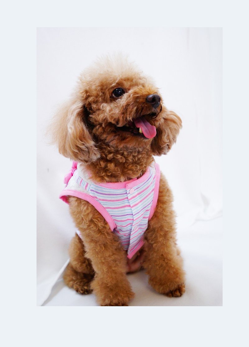 條紋蕾絲洋裝 - 寵物衣服 - 棉．麻 粉紅色