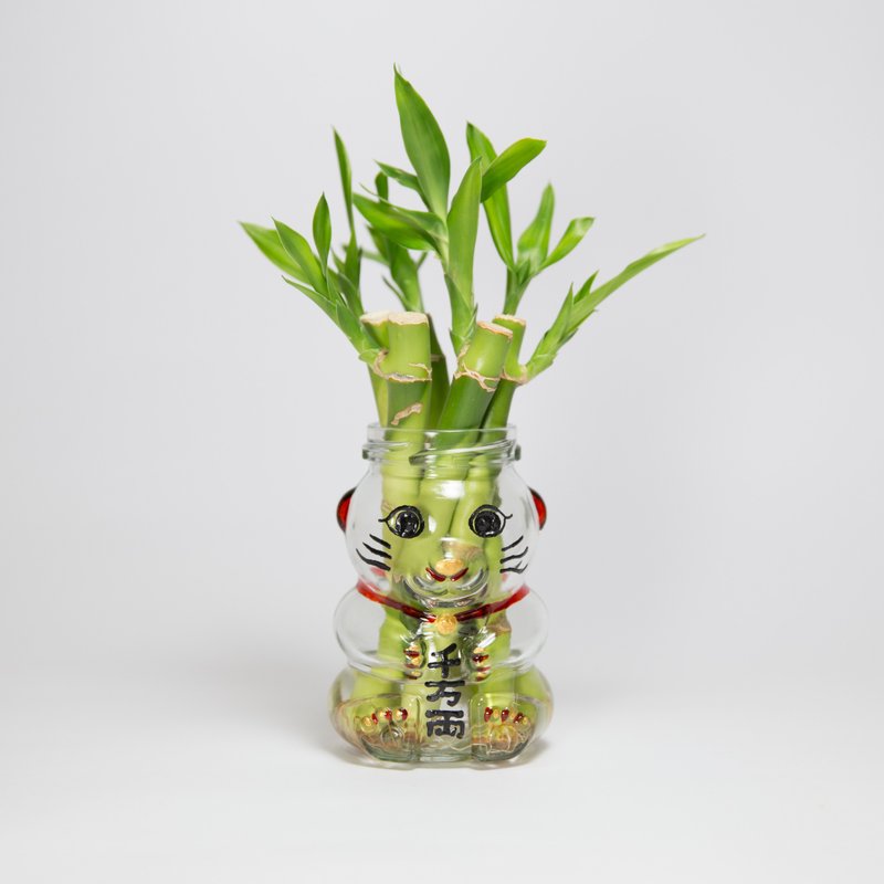 祝你好運盆栽 - 盆栽/植栽 - 玻璃 