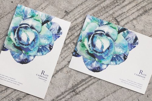 小菜一盆 laiveitsai 紫色甘藍 蔬菜水彩明信片 (2入)卡片/禮物/postcard