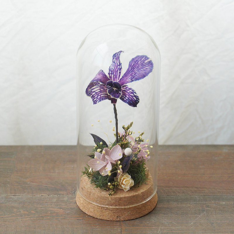 [DIY material package] A blessed orchid glass stand/with simple electronic instruction manual - Plants & Floral Arrangement - Plants & Flowers 