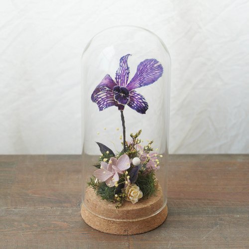 SUN 風格花物 【DIY材料包】一朵祝福的蘭花玻璃座 / 附簡易說明書電子檔