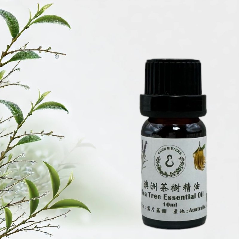 Natural pure essential oil tea tree essential oil 10/50ML 100% pure essential oil single essential oil free rose aroma Stone - Fragrances - Essential Oils White