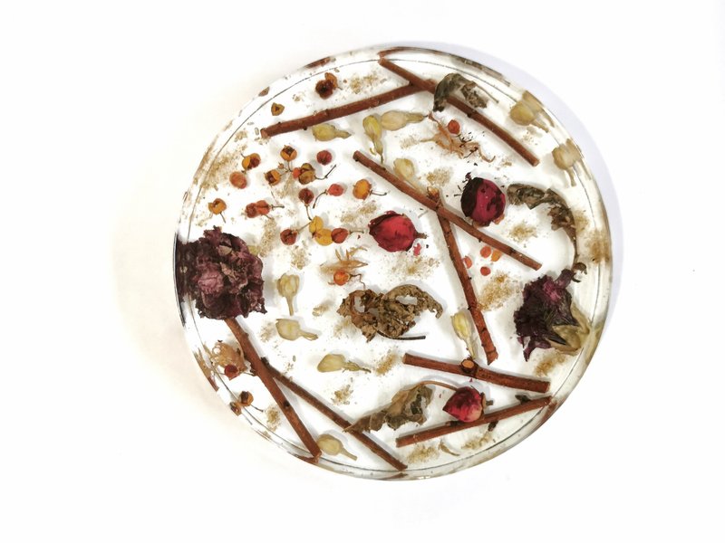 貴人花精靈氣板 Benefactor Hz Floral Plate - 擺飾/家飾品 - 植物．花 透明