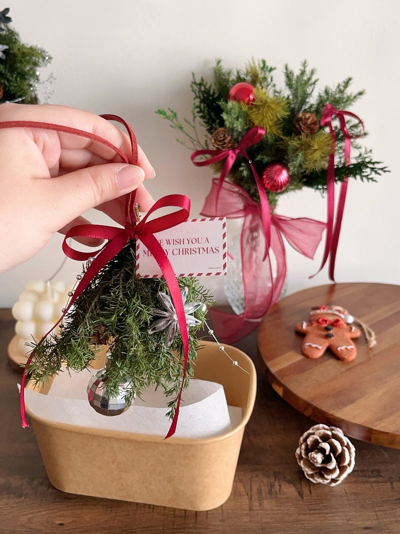 迷你永生雪松聖誕掛飾 - 乾燥花/永生花 - 植物．花 多色