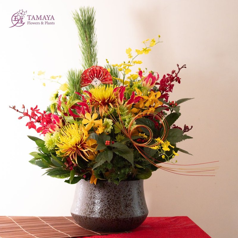 【Chiyosai Zhuguang】Spring Festival Flower Gift New Year Flower Gift - Plants - Plants & Flowers Pink