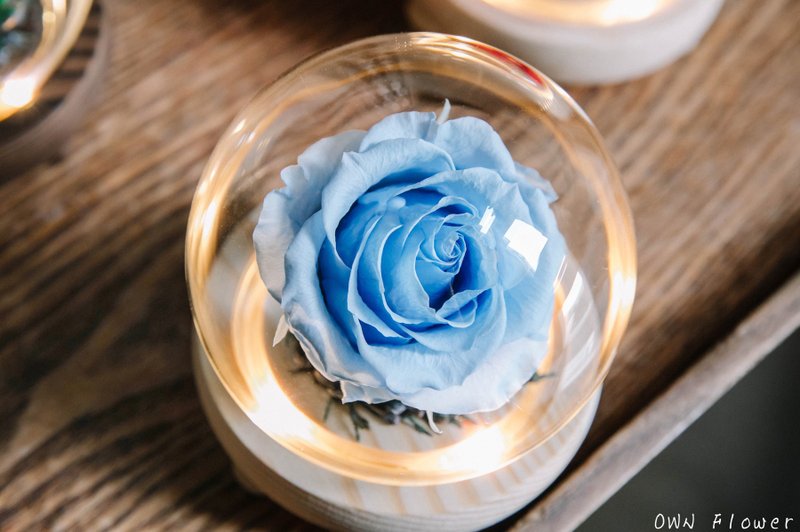 Blue rose/flower night light/eternal flower glass cup/birthday gift/Christmas gift/eternal flower gift/everlasting flower - Dried Flowers & Bouquets - Plants & Flowers Blue