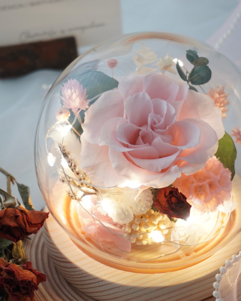 - Berry Good Times - Preserved flower glass cover glass ball night light birthday gift home decoration - Dried Flowers & Bouquets - Plants & Flowers 