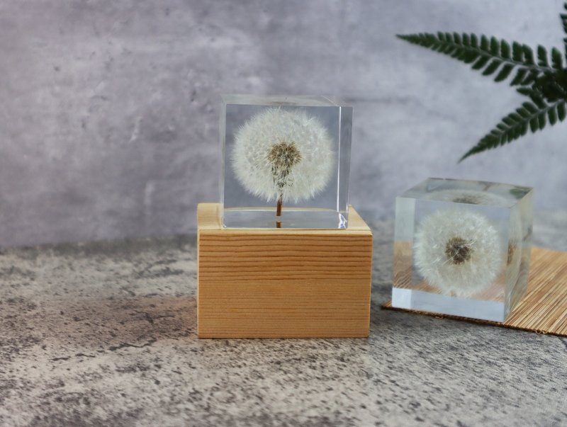 Mengtianya Dandelion Ice Brick~Music Box (5 cm square) Clockwork - ของวางตกแต่ง - เรซิน ขาว