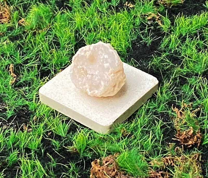 瑪瑙白晶洞開口笑 可愛貝殼造型 招財開運 風水小物 快速出貨 - 擺飾/家飾品 - 水晶 多色
