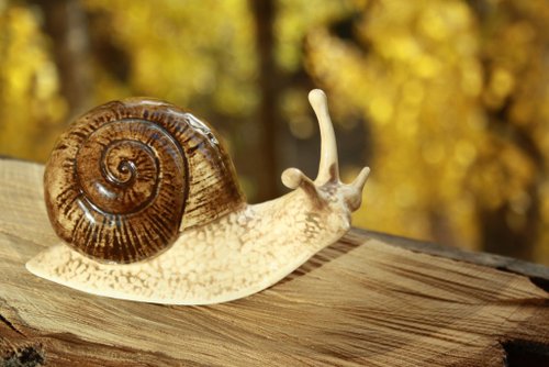 カタツムリの磁器の置物、小像、像 - ショップ ArtDogs 置物 - Pinkoi