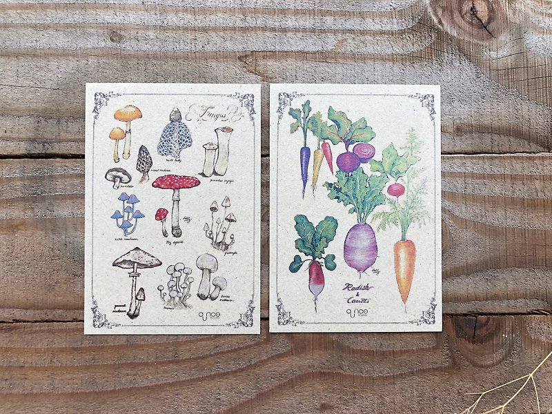Fungus & Vege Vintage Postcards - Cards & Postcards - Paper 