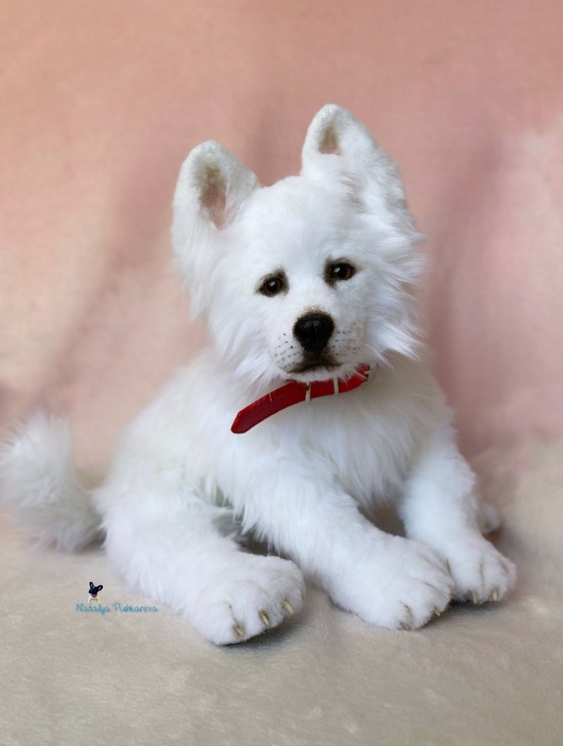 白色瑞士牧羊犬/狗逼真的玩具 - 公仔/玩偶 - 聚酯纖維 白色