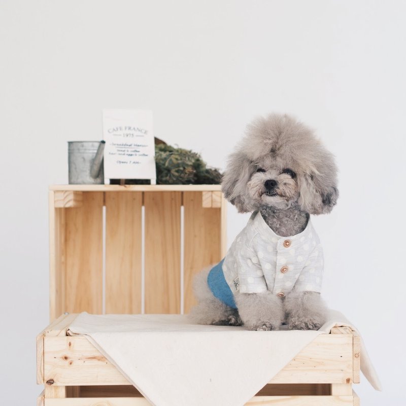 Dog Clothing - Grey White Polka Dot - 寵物衣服 - 棉．麻 藍色
