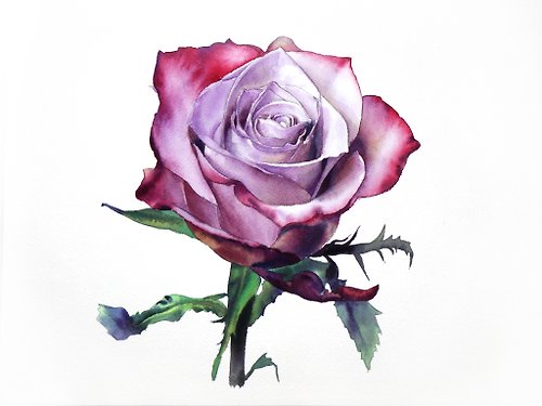 WallArtHome Rose original watercolor painting by artist Irina Zhunaeva