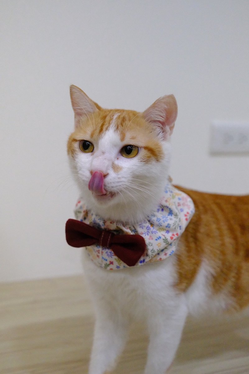 Lively Festival Red Comes to Celebrate Pet Puff Tie Pocket Pet Scarf Cat Scarf Dog Scarf - ปลอกคอ - ผ้าฝ้าย/ผ้าลินิน 