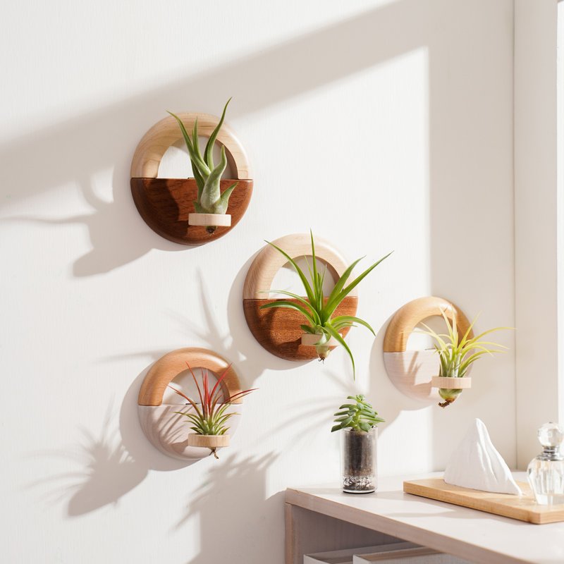 【Light (S)/Dark (L)】Air Plant Wooden Plant Container | GREENFUL LIFE - Plants - Wood 