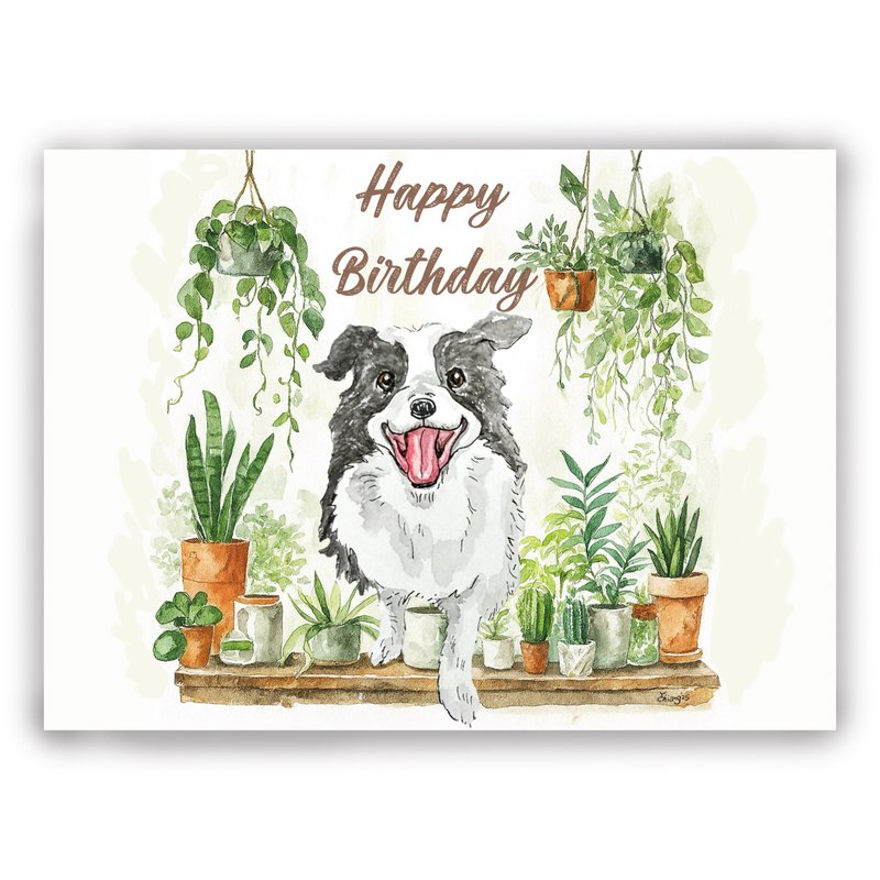 手繪插畫 萬用卡/卡片/明信片/插畫卡/生日卡-微笑生日邊境牧羊犬 - 卡片/明信片 - 紙 