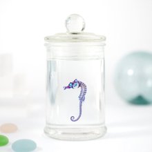 オリジナル商品☆専用販売【透明標本作製キット】×2個 透明標本作製キット | 小型海水水槽・人工ライブロック通販