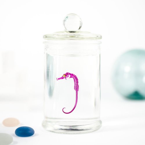 タツノオトシゴ 特大サイズ 魚 標本 500x0.jpg