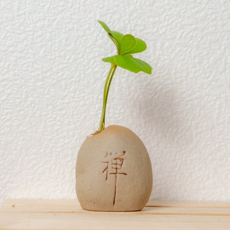 禪石系列-墨西哥幸運鐵樹盆栽 - 盆栽/植栽 - 陶 咖啡色