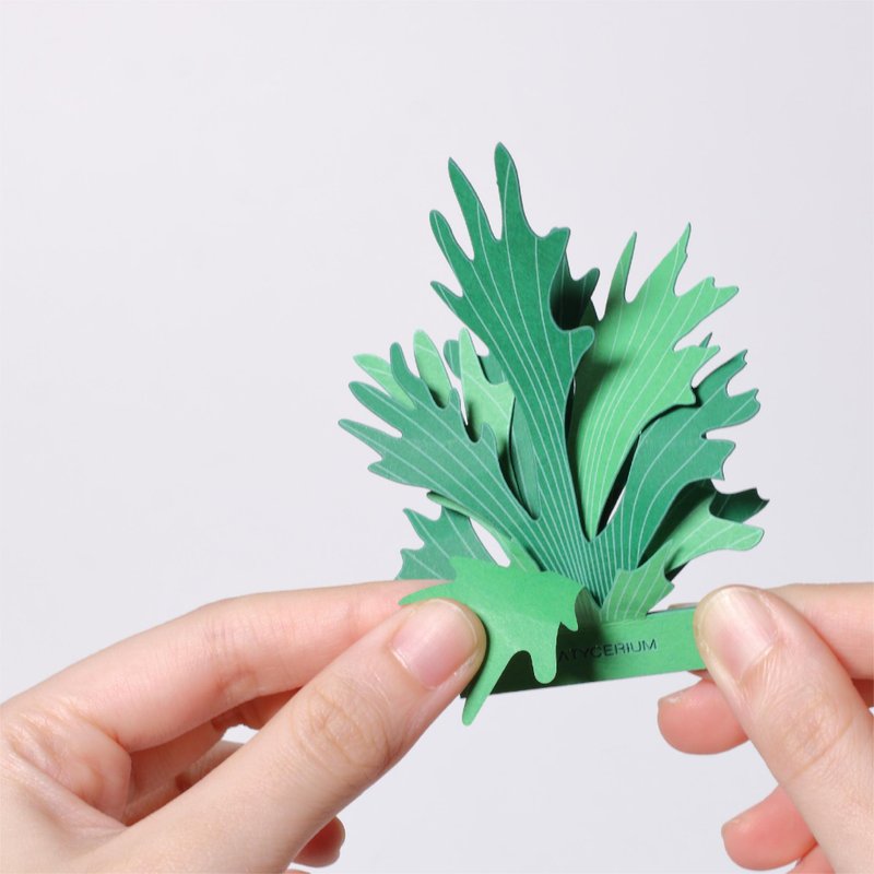 【立體植物貼紙】 鹿角蕨 (605016) FingerART紙雕紙藝術 - 貼紙 - 紙 綠色