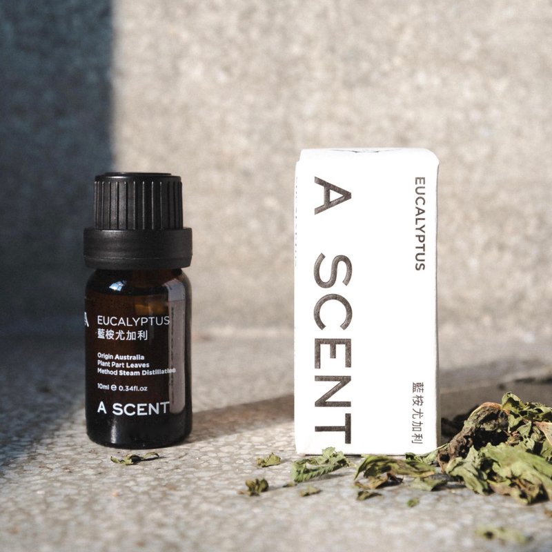 藍桉尤加利精油 10ml - 香氛/精油/擴香 - 精油 綠色