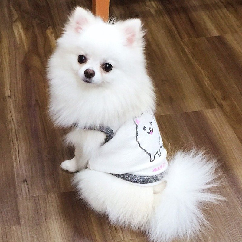 毛孩姓名訂做款 博美 Pomeranian 反光衣(毛孩款) - 寵物衣服 - 棉．麻 白色