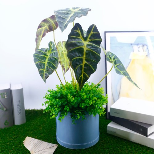 榆果傢飾 HUGO DECO 觀音蓮葉皮革籃植栽/擬真植物/禮物/綠化/永不凋零/佈置