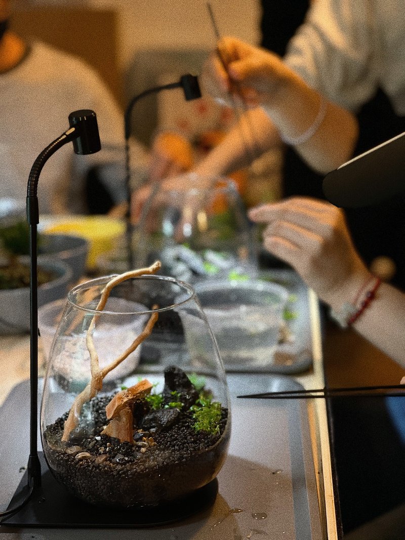 手作微景觀生態缸 / Wabi-kusa水草造景創作體驗課程 - 盆栽/花藝 - 植物．花 