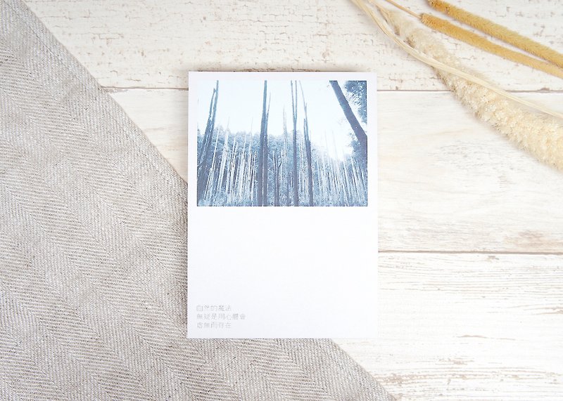 Postcard - Blissful forest-Taiwan Imagery - Cards & Postcards - Paper Blue